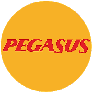 https://akdenizpinar.info/view/images/uploads/2025-05/kurum-logolar/pegasus20.png